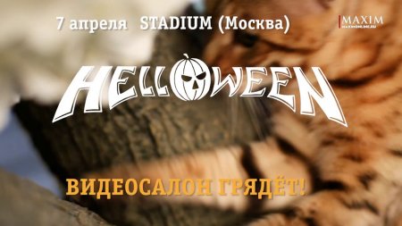 Helloween мчится в Видеосалон  - «Видео советы»