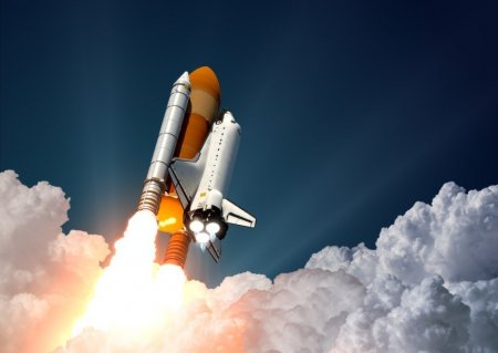 Теперь и там: NASA отправило сперму в космос - «Домашние Питомцы»