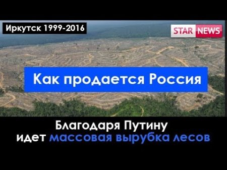 ИЗ-ЗА Путина идет массовая вырубка лесов! Иркутск Россия 2018  - «Видео советы»