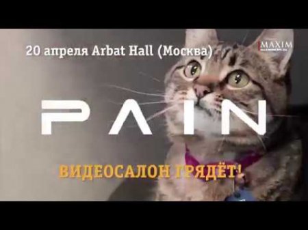 PAIN едет в Видеосалон!  - «Видео советы»