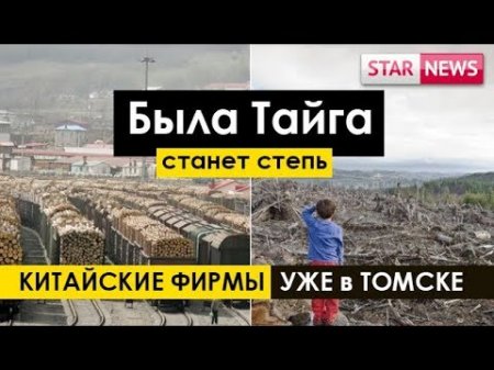 СКОРО ТАЙГА СТЕПЬЮ СТАНЕТ!Китайские фирмы уже в Томской области! Россия 2018!  - «Видео советы»