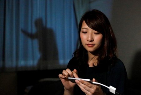 "Вариант для одиноких женщин": в Японии воров отпугивают мужским силуэтом - «Домашние Питомцы»
