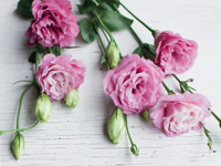 Цветочные рецепты: 5 оригинальных букетов для украшения дома - «Про жизнь»