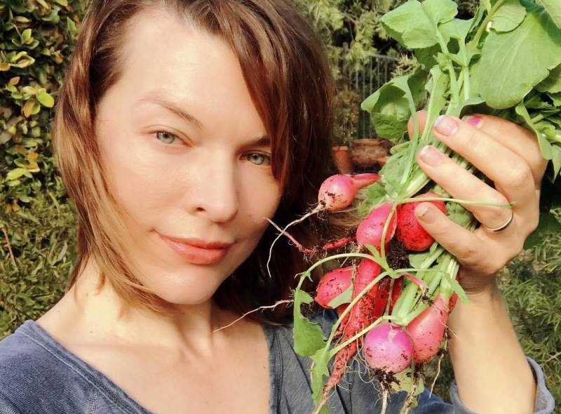 «На эпиляцию не хватает?»: Милла Йовович удивила небритыми подмышками - «Красота»