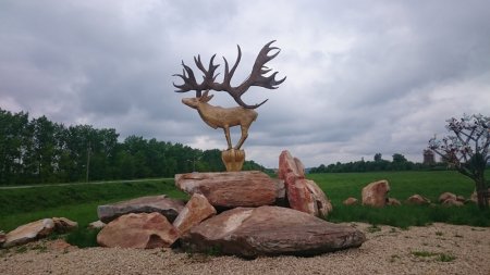 Природный парк 'Олений' в Липецкой области: здесь есть не только олени! - «Путешествия»