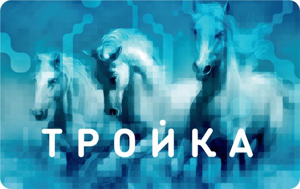 По карте "Тройка" в столичном метро можно будет ходить в туалет - «Домашние Питомцы»