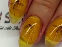 Салон красоты предлагает посетителям «комариный маникюр» - «Про жизнь»