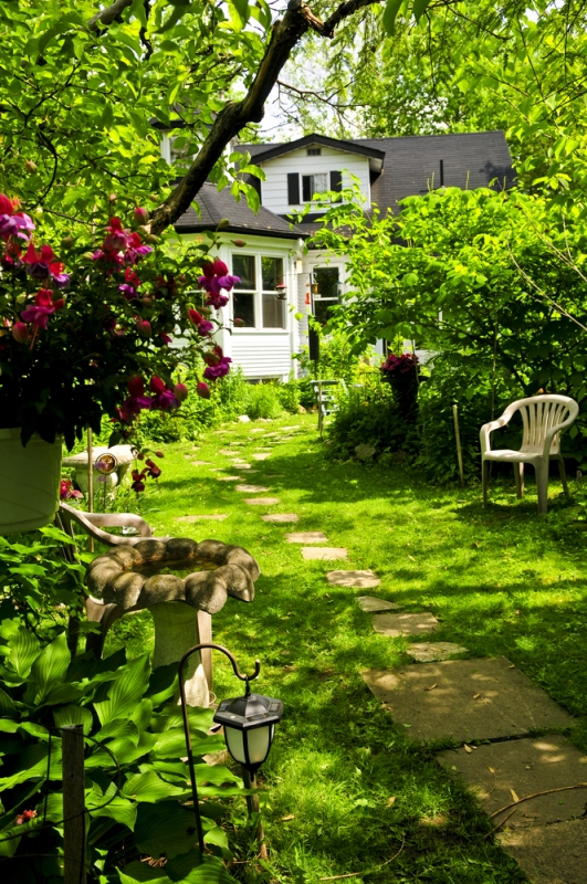 Как правильно расположить теплицу, деревья и кусты на садовом участке - «Дом»