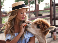 Журавли и альпака в жарких лукбуках российских дизайнеров - «Я и Мода»