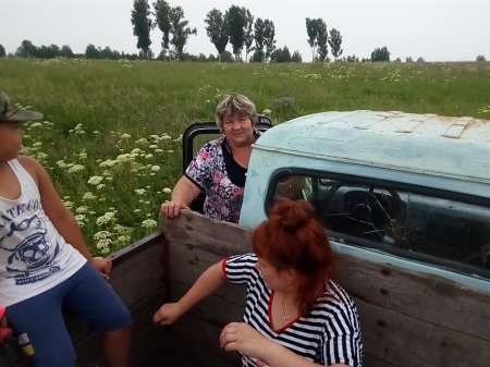 За лесной клубникой – на самодельном тракторе с бабушкой за рулем - «Путешествия»