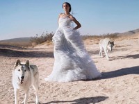 Бесстрашная Зои Кравиц снялась в атмосферной фотосессии с волками - «Я как Звезда»