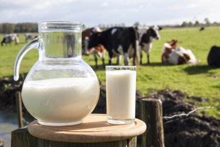 6 причин перестать пить молоко из супермаркета - «Дом»