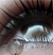 Не надо жалости