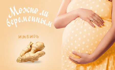 Имбирь при беременности: польза и противопоказания - «Беременность»