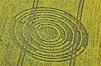 В апреле 2009 года начался новый сезон таинственных кругов на полях - «ЗДОРОВЬЕ»