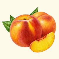 Боремся с целлюлитом: как превратить «апельсин» в «персик» - «Антицеллюлитные процедуры»