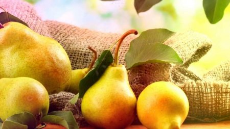 5 полезных свойств груш - «Я и Здоровье»
