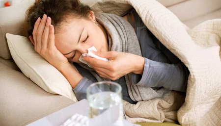 8 натуральных продуктов для борьбы с гриппом - «Я и Здоровье»