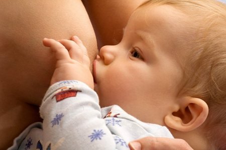 Чему учится малыш под грудью? - «Новорожденный»