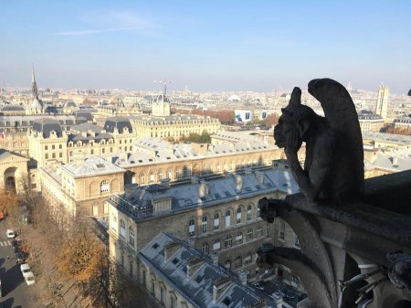 Париж с детьми: самые высокие башни и экскурсии с пирожными - «Путешествия»
