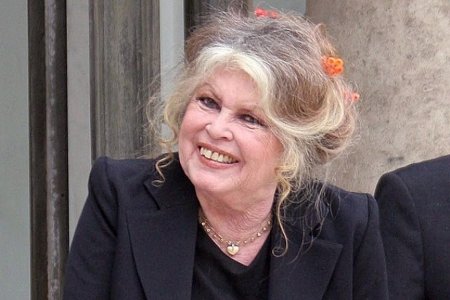 На 84-летнюю Брижит Бардо могут подать в суд по обвинению в расизме - «Я как Звезда»