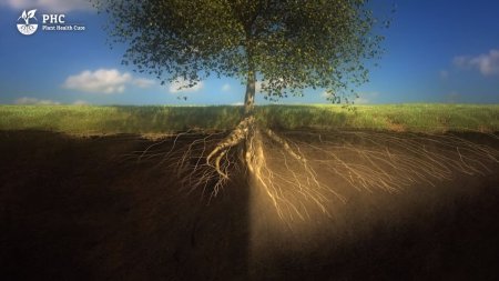 PHC Film: Soil is a living organism  - «Видео советы»