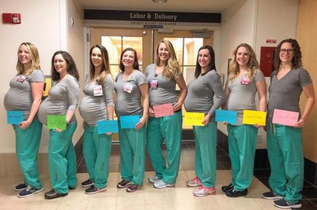9 сотрудниц роддома беременны одновременно - «Беременность и роды»