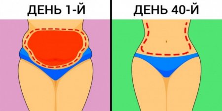 9 упражнений, которые подарят вам стройную талию - «Здоровье»