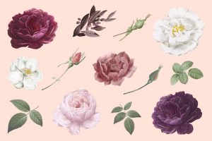 Скажите, какая роза вам нравится, а мы скажем вам, чего вам стоит страшиться в отношениях - «Разное»