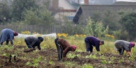 Как из дачников выбьют долги - «Бизнес»