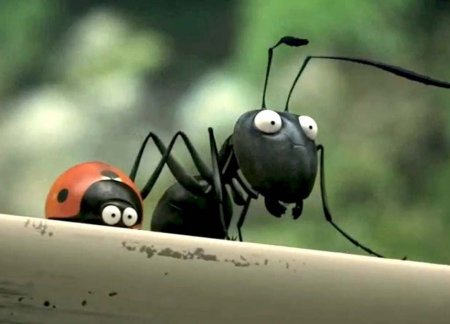 Конец легенде: оказывается, муравьи не любят работать! - «Я и Дети»