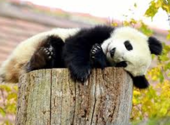 О пользе безделья - «Новости»