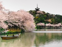 Концепция натсукаси: что для японцев значит ностальгия - «Про жизнь»