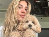 Дочь Сталлоне умилила подписчиков «домашними» фото с питомцем - «Я как Звезда»