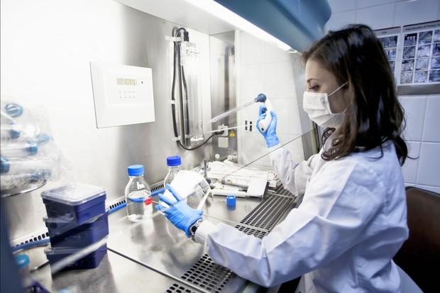 Спасение близко! Итальянские ученые заявили о создании действующей вакцины от коронавируса - «Домашние Питомцы»