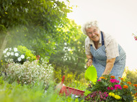 Как жениха-англичанина учили сажать картошку в деревне русской невесты - «Любовь»