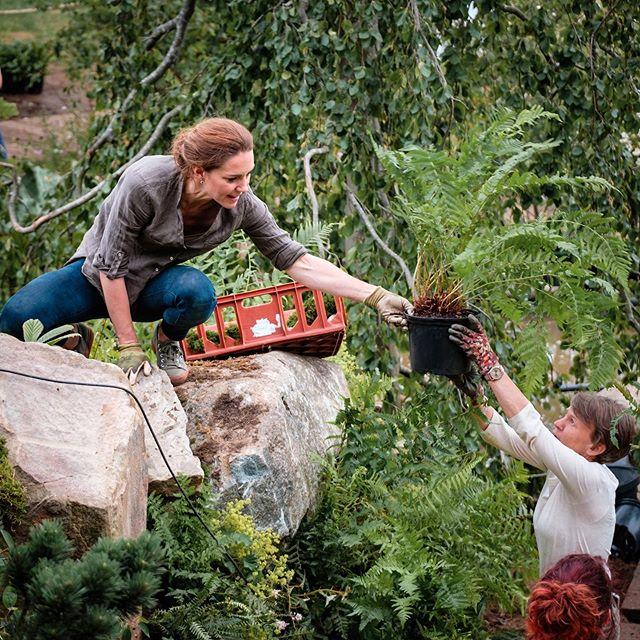 Кейт Миддлтон удивила британцев неожиданно смелым снимком - «Я и Отдых»