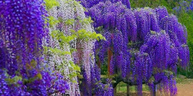 Гороскоп на май 2020 года по Знакам Зодиака - «Стиль жизни»