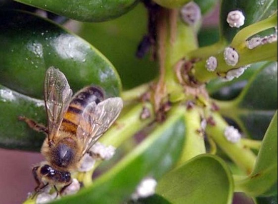 7 июня 2020 – народные приметы, погода, магнитные бури и полнолуние - «Новости»