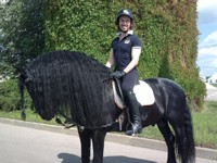 Максима Галкина верхом на коне сравнили со сказочным принцем - «Я как Звезда»