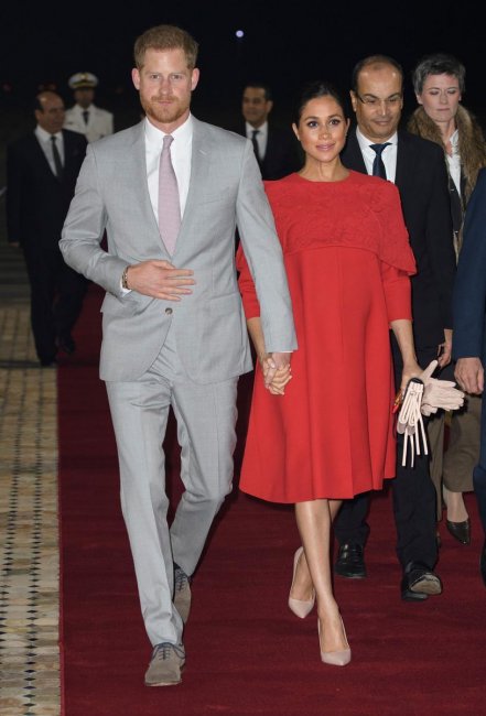 Меган Маркл и принц Гарри начинают карьеру в Голливуде - «Домашние Питомцы»