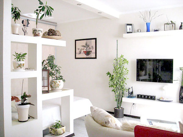 Комнатные растения - «Стиль жизни»