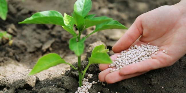 ЕС разблокировал удобрения - «Бизнес»