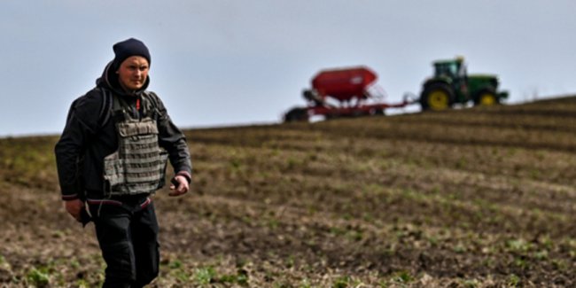 Началось экономическое присоединение Украины - «Бизнес»