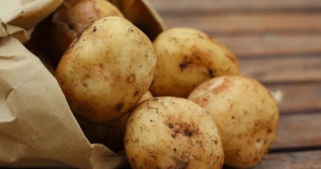 Чем опасен зеленый картофель? - «Новости»
