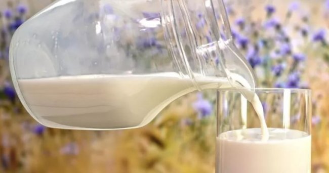 Молоко может быть опасно - «Новости»