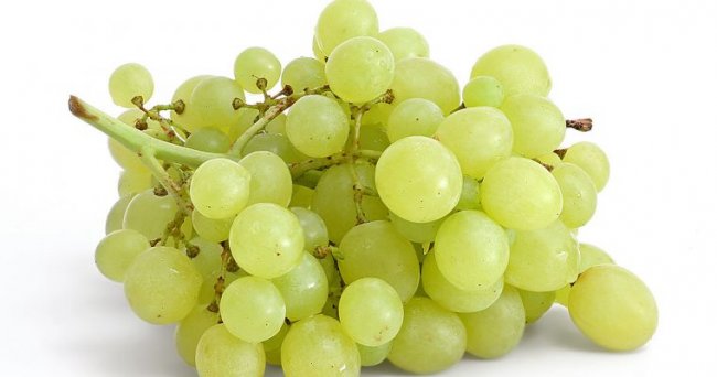 Может ли виноград защитить от рака? - «Новости»