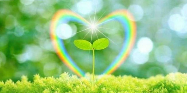 Деятельная благодарность