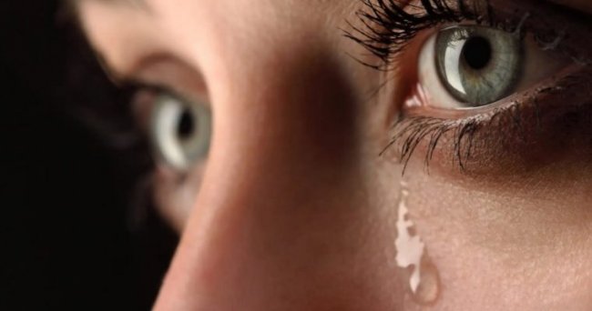 Запах женских слез снижает мужскую агрессию - «Новости»