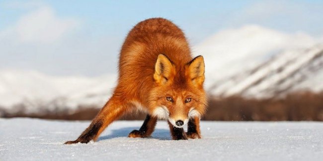 Как любовь и дружба превращаются в тыкву